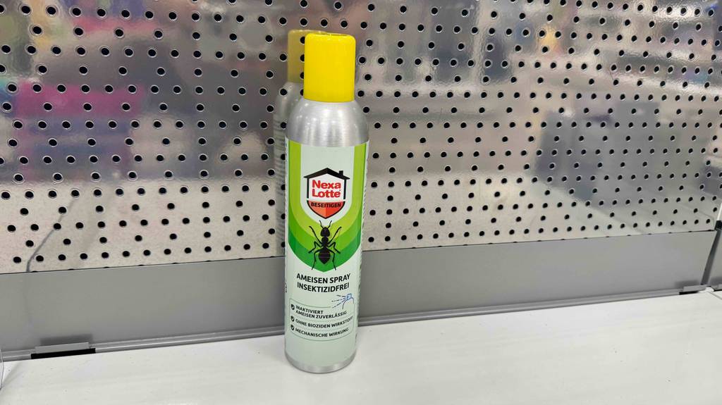 Die Spraydose inklusive dem getesteten Ameisengift steht auf einem Regal.