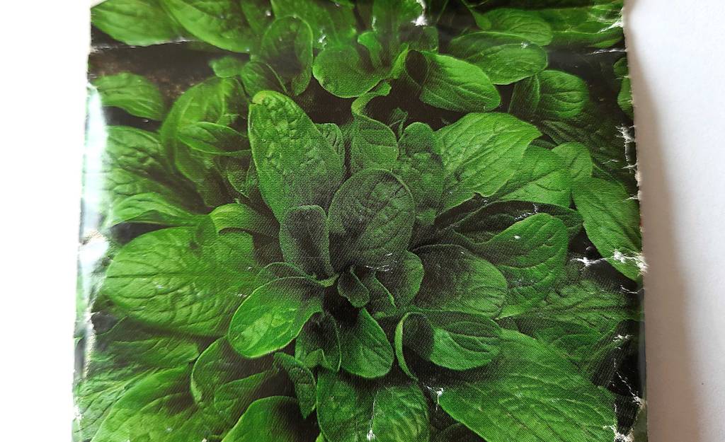 Der Feldsalat auf der Verpackung der getesteten Feldsalat-Samen in Nahaufahme.