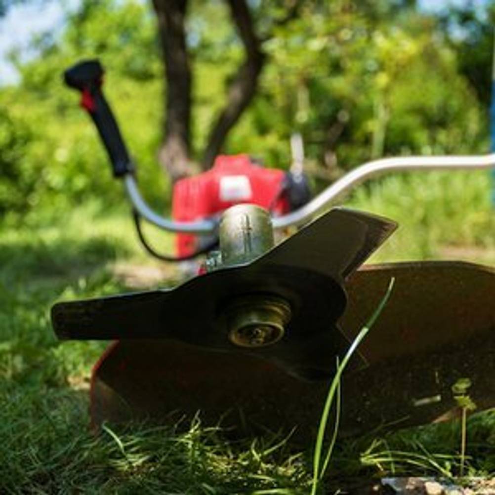 Motorsense mit Messer-Aufsatz, die in einem Garten liegt