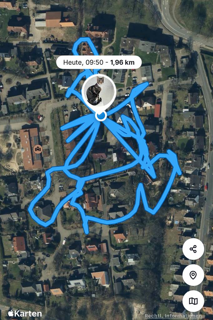 Eine App des getesteten Gps für Katzen, worauf ersichtlich ist welche Route die Katze gegangen ist.