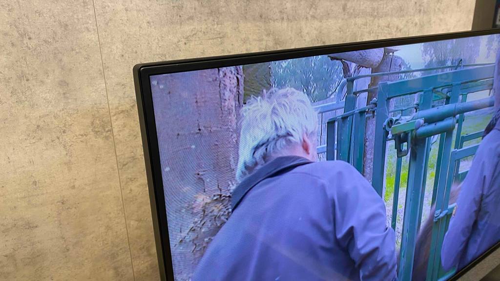 Display von einem getesteten 40-Zoll-Fernseher.