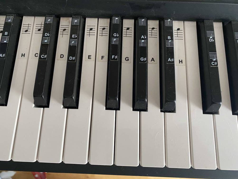 Auf Keyboard-Tasten befinden sich Notenangaben, die insbesondere für Einsteiger hilfreich sind.