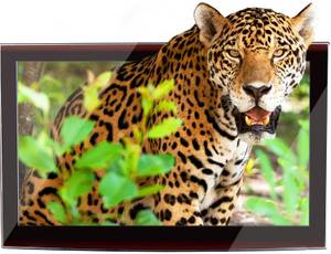 49-zoll-fernseher-3d