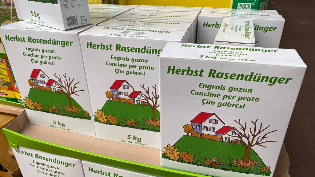 Im Test: Mehrere Packungen Herbstrasendünger stehen über- und hintereinander.