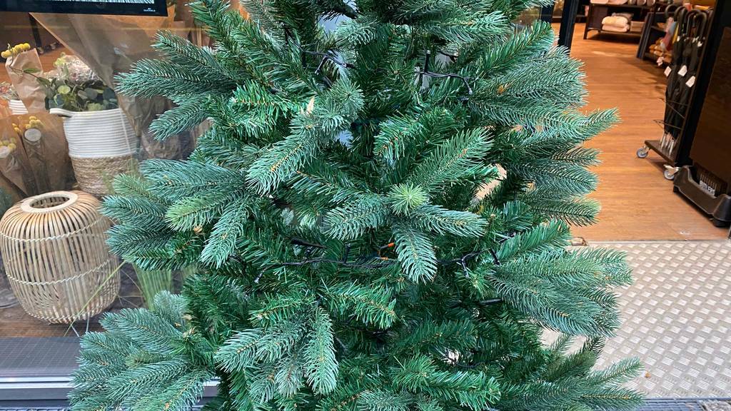 Weihnachtsbaum im Test: Weihnachtsbaum mit grünen Tannen und Lichterkette.