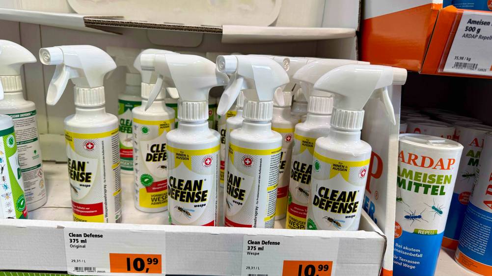 Mittel gegen Wespen im Test: Mehrere Sprays die gegen Wespen wirkeb stehen in einem Karton, während darunter das Preisschild ersichtlich ist.