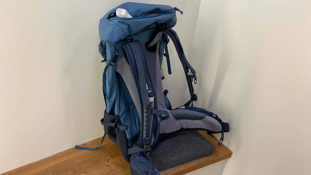 Rucksack-40-Liter getestet: stehender blauer Rucksack von der Rückseite.