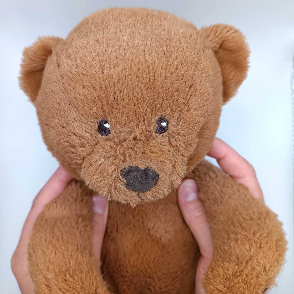 Teddy in der Hand.