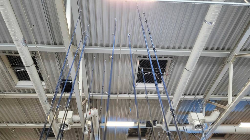 Oberseiten von mehreren getesteten Zanderruten.