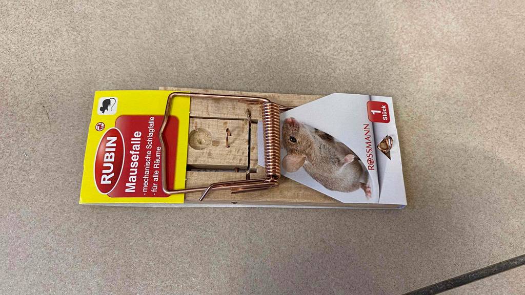 Mausefalle im Test: eine Mausefalle der Marke Rubin in der Verpackung liegend auf einem Boden.