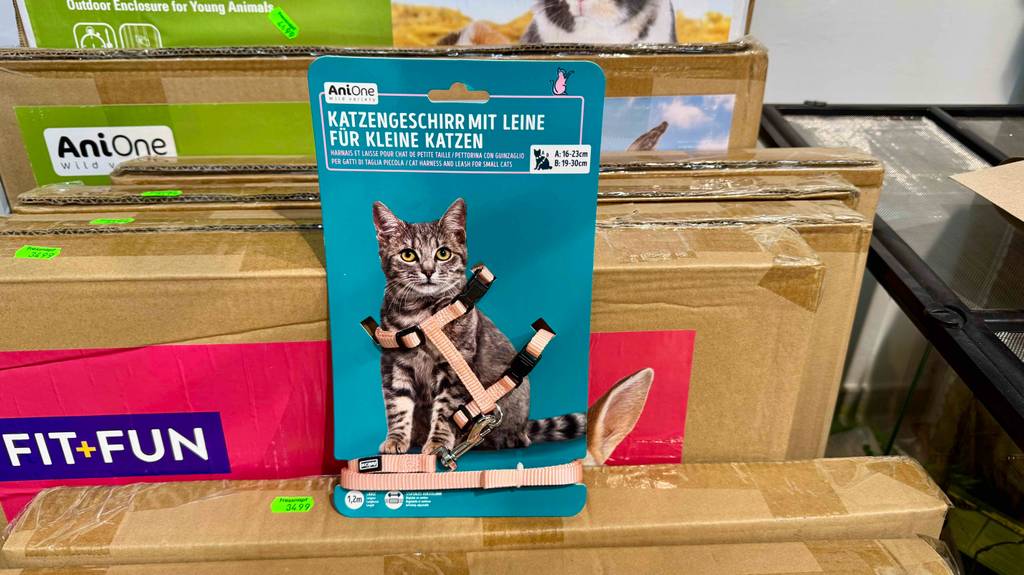 Das beigefarbene getestete Katzengeschirr Kitten in der türkisfarbenen Verpackung steht auf einem braunen Karton.