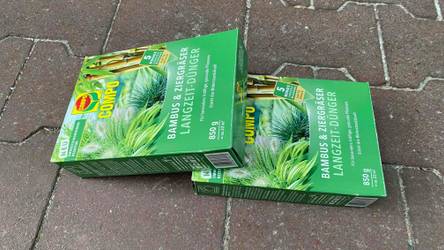 aloe tea benefits Aloe Vera Green Tea - GT main image 1