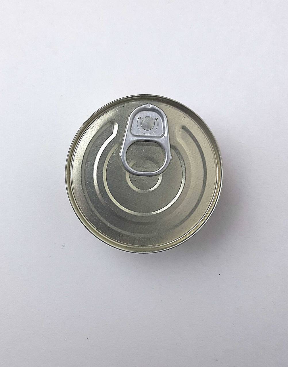Die Dose der getesteten Fleischkonserve, von oben ersichtlich.