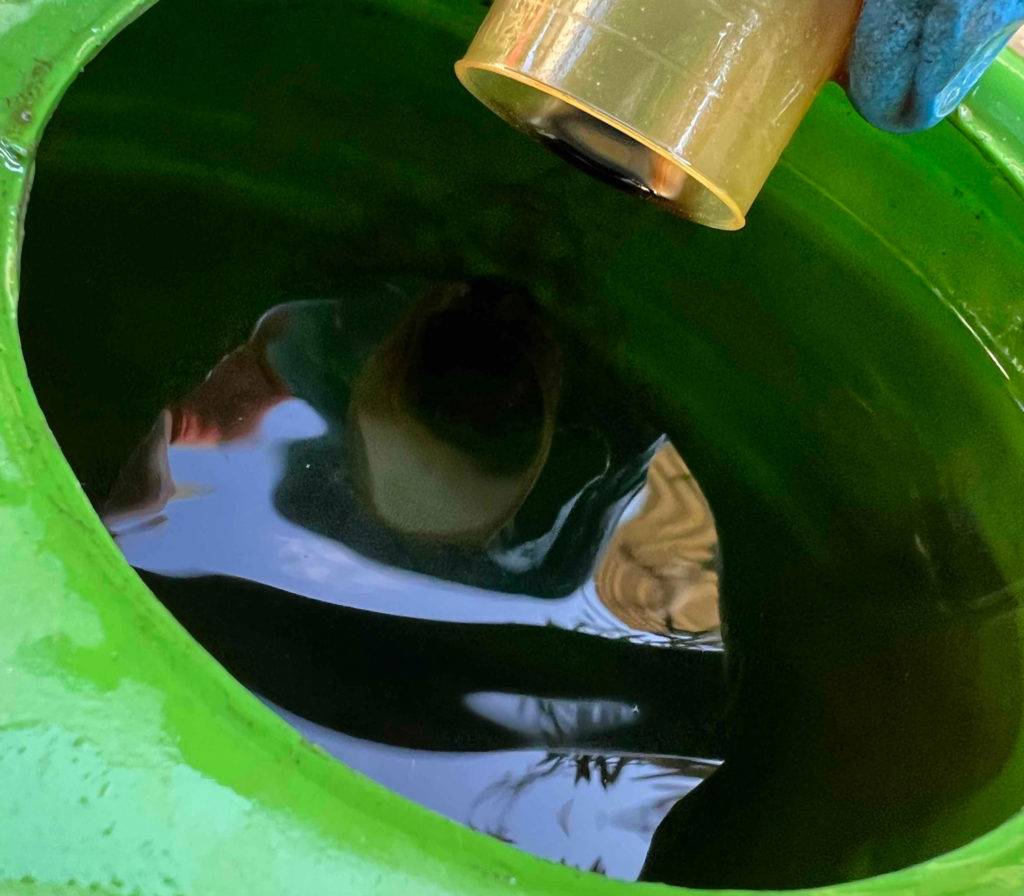 Zitrusdünger-Test: ein Zitrusdünger wird in eine Gießkanne mit Wasser zugefügt.