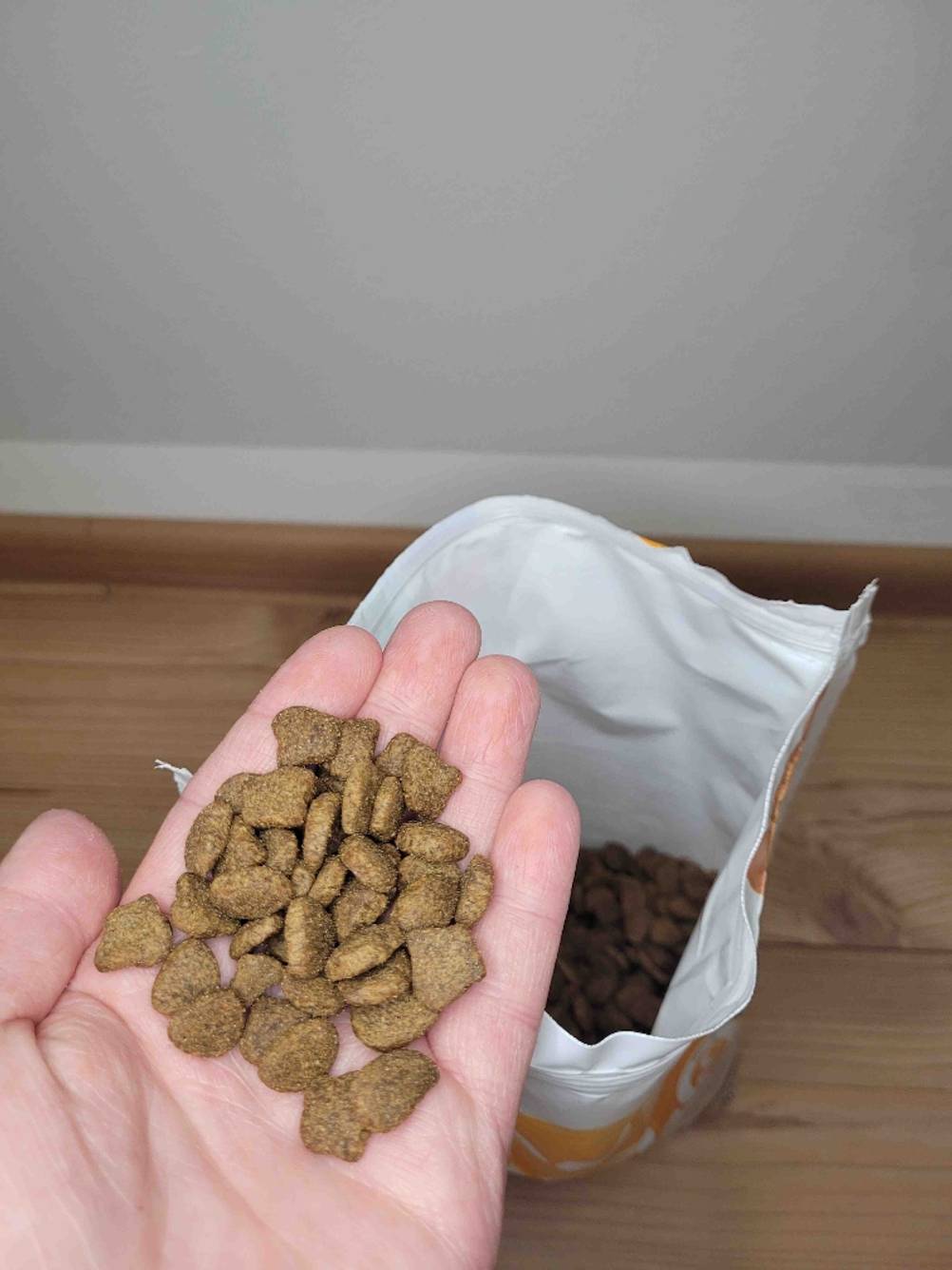 Katzenfutter in der Hand.