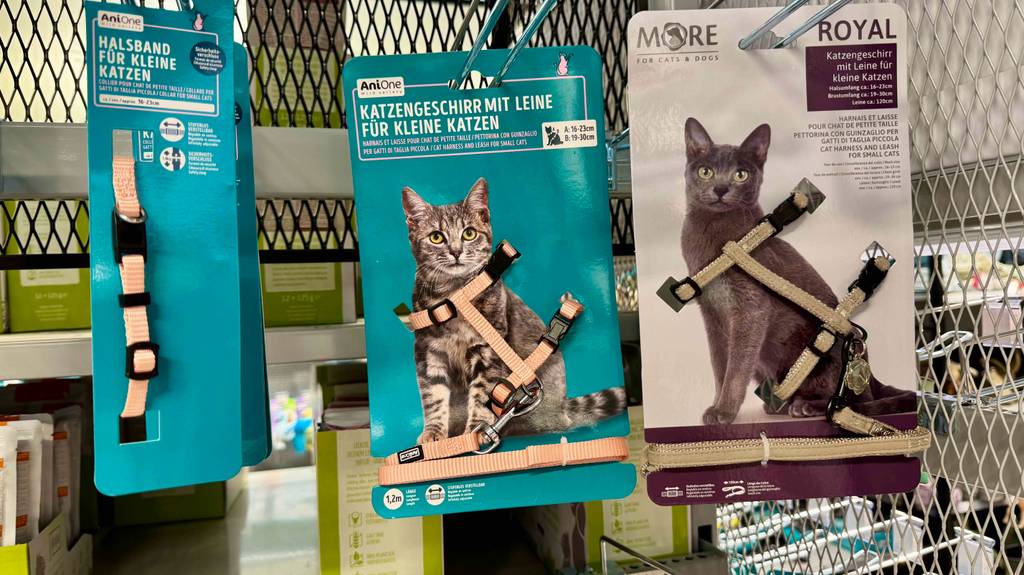 Katzengeschirr Kitten im Test: Die türkisfarbene Verpackung mit dem beigefarbenen Geschirr für Katzen hängt an einem Verkaufsstand.
