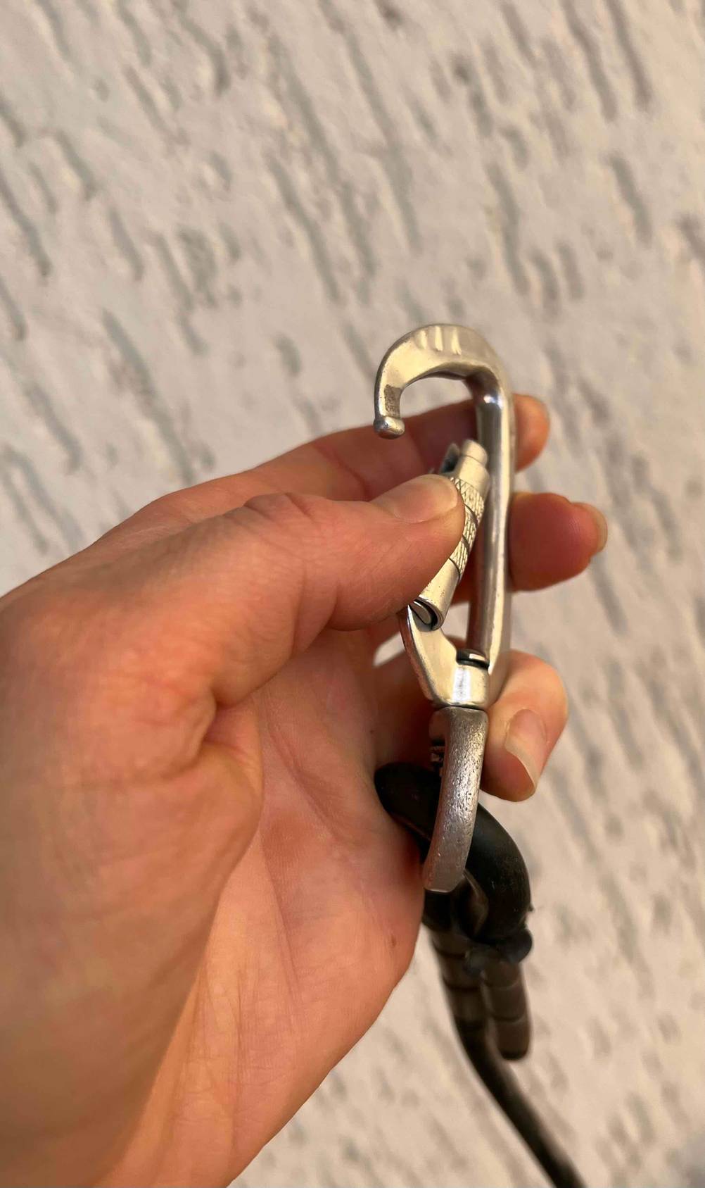 Schleppleine im Test: Karabiner von Schleppleine wird geöffnet.