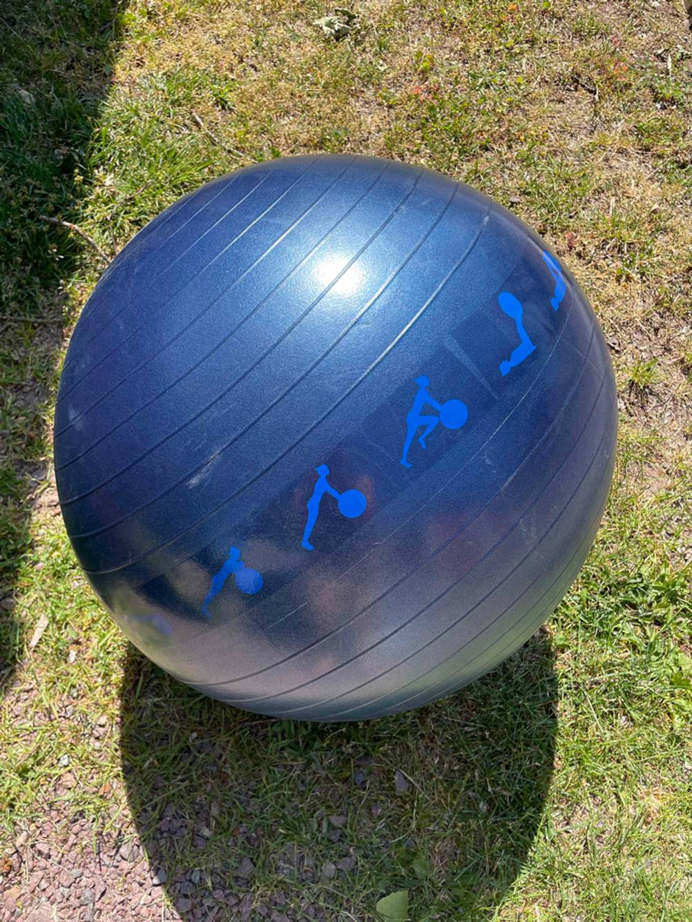 Blauer Gymnastikball auf einer Wiese.