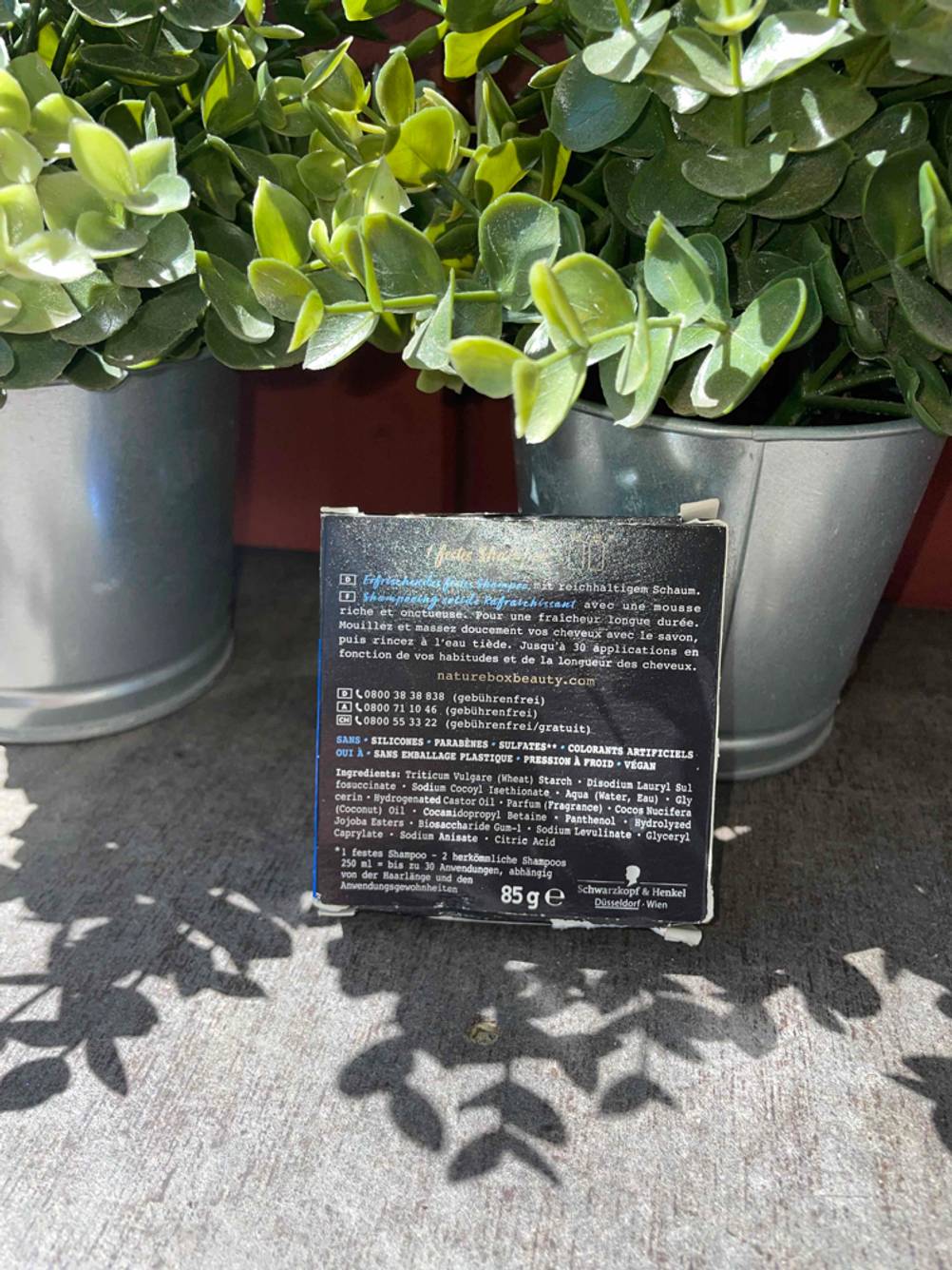 Festes Haarshampoo-Verpackung vor einer Pflanze.