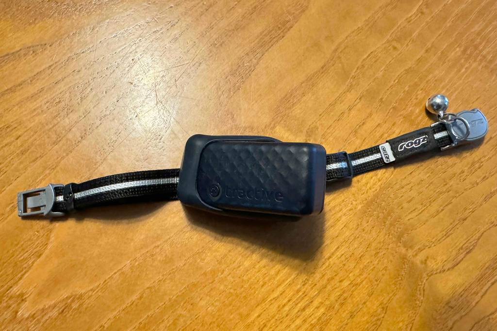 Getestet: Das Gps Halsband für Katzen im geöffneten Zustand.