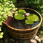 Wanne