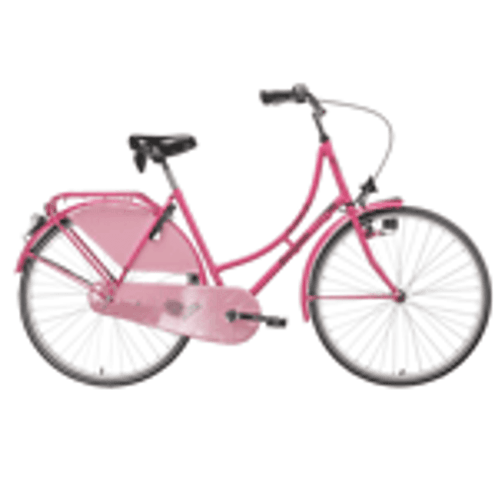Bermuda-Hollandrad-Citybike
