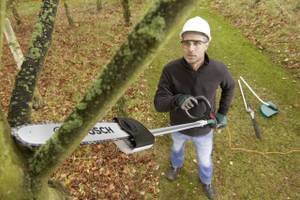 Bosch Hochentaster