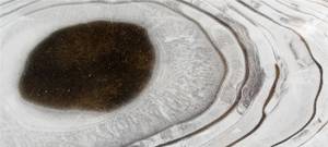 Eisfreie Stelle