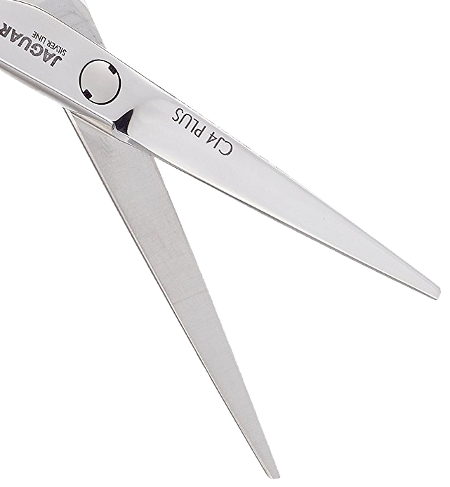 Professionelle Friseurschere – 15,2 Cm, Scharfe Klinge Aus Japanstahl, Mit Fester Schraube
