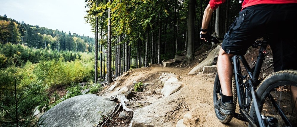Ein Mountainbiker ist auf einem Trail mit seinem Bike unterwegs.