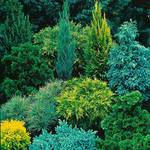 Garten-Dünger Bittersalz