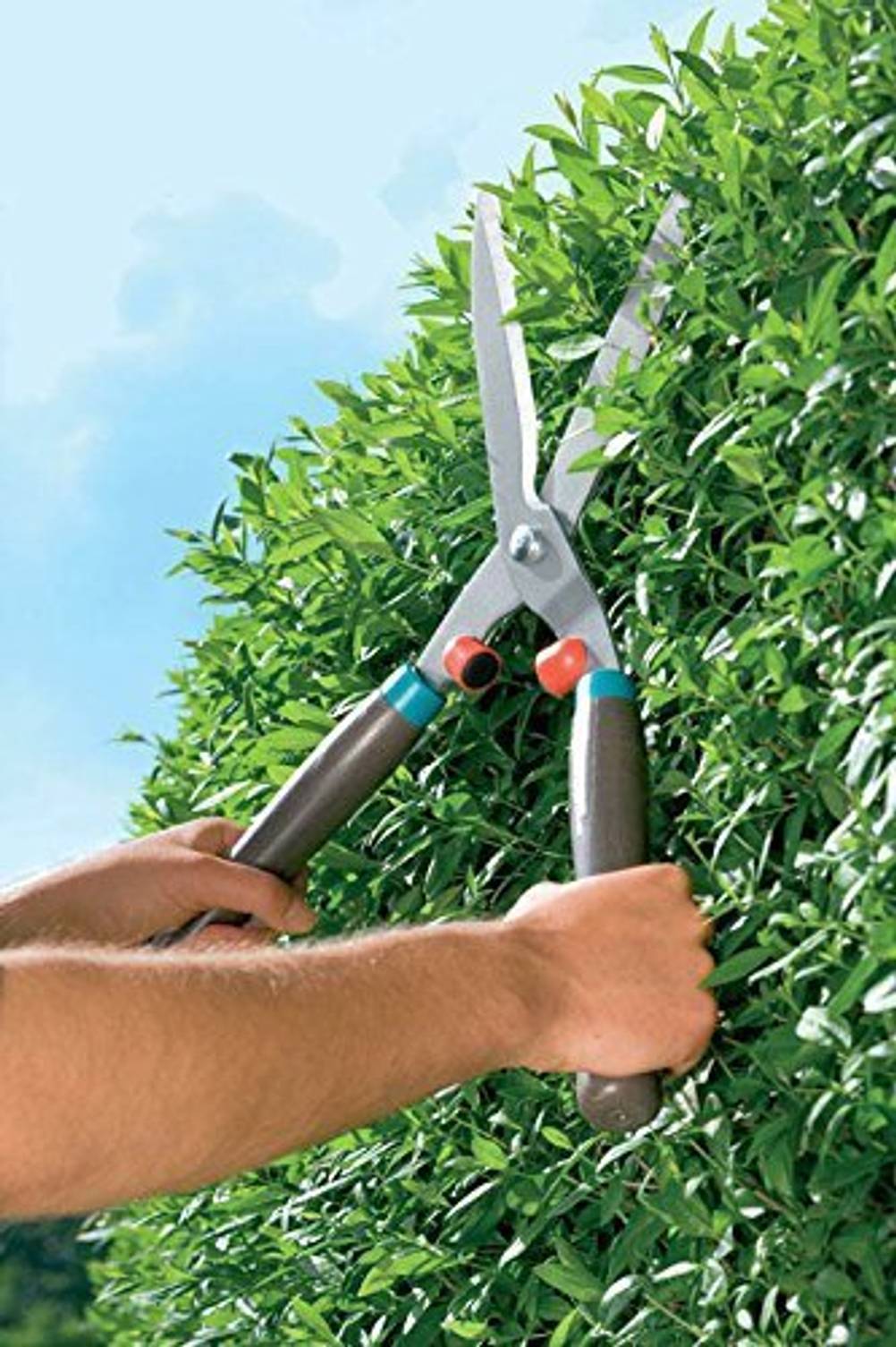 Manuelle Heckenschere