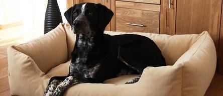 Hundebett