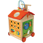 Activity House