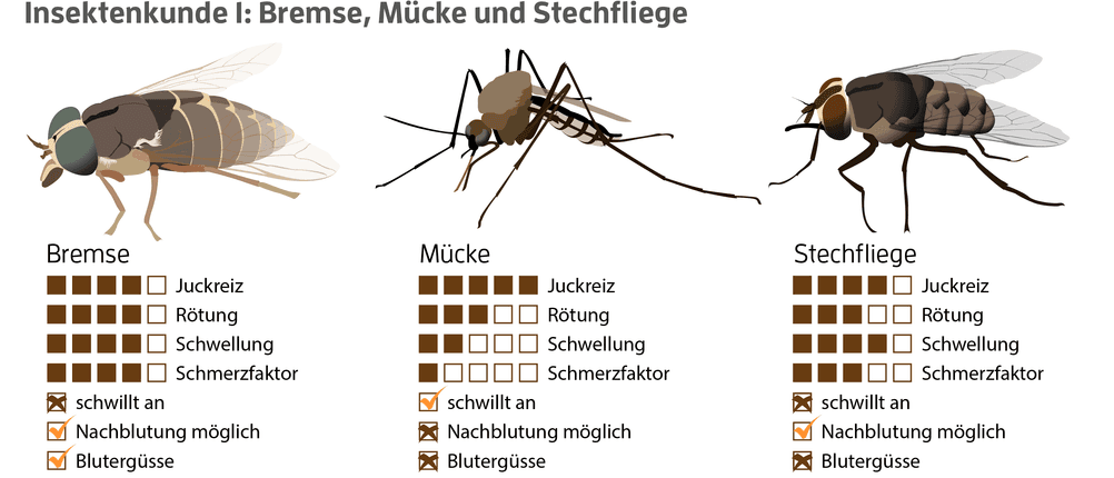 stichheiler test