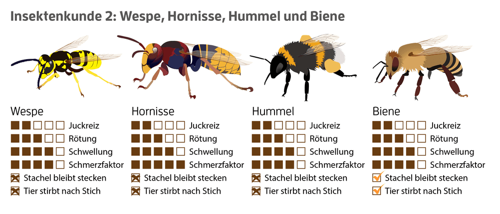 stichheiler kaufen