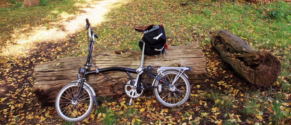 Ein Klapprad ist an einen liegenden Baumstumpf angelehnt.