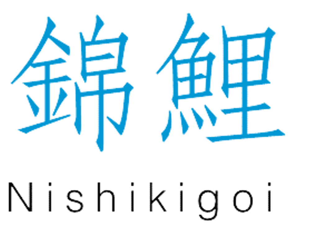 Nishikogoi