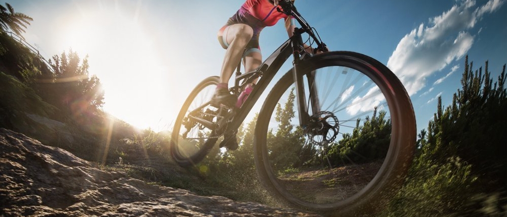 Ein Mountainbiker fährt einen Trail hinab.