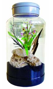 Nano-Terrarium