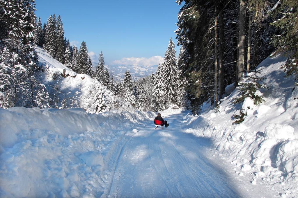Schlitten-Test: Eine Person rodelt eine Rodelbahn runter. 