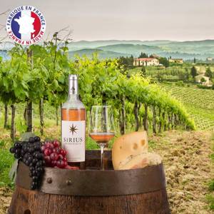 Roséwein-Romatik: Weinanbau in Frankreich.