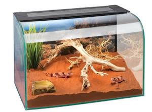Hamster Terrarium Rückwand Faunarium