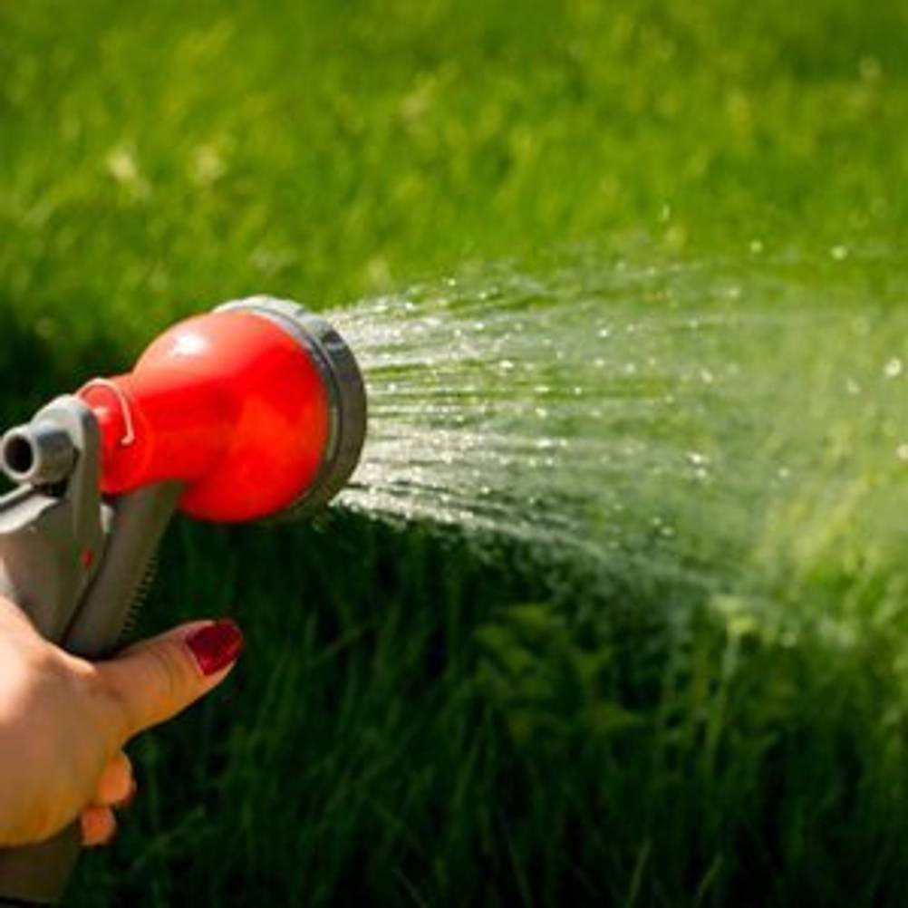 Frau, die ihren Rasen mit einem Handbrausen-Aufsatz am Gartenschlauch bewässert