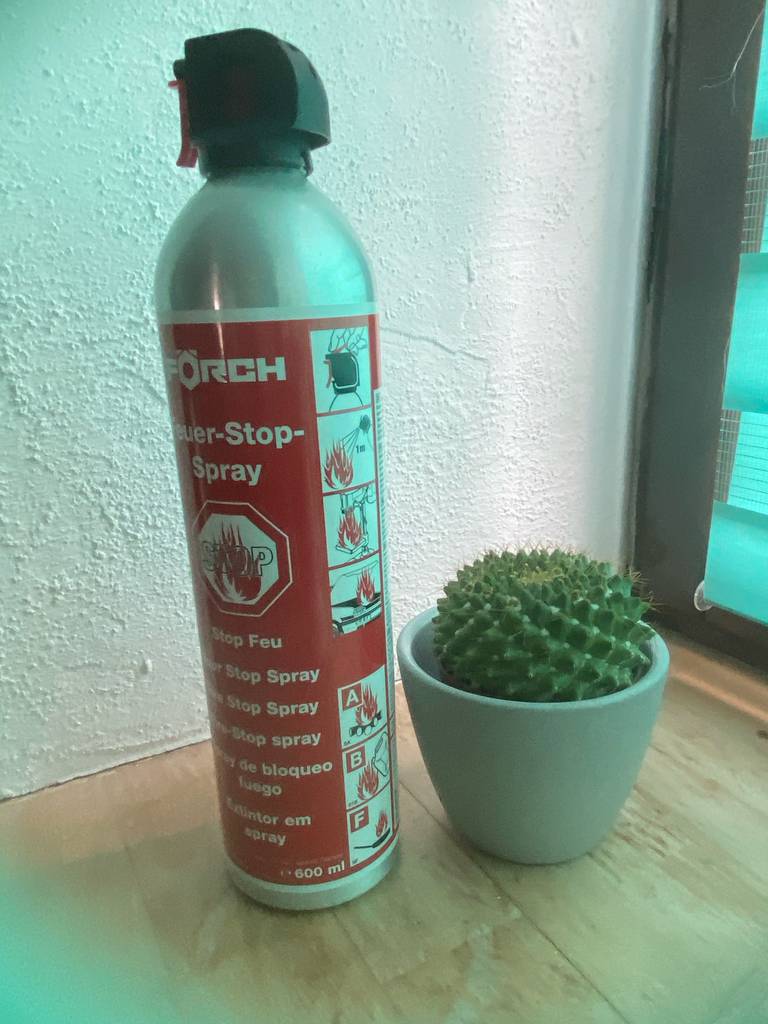 Eine 600-ml-Spraydose steht inklusive des getesteten ABF-Feuerlöscher-Materials neben einem Kaktus im Topf.