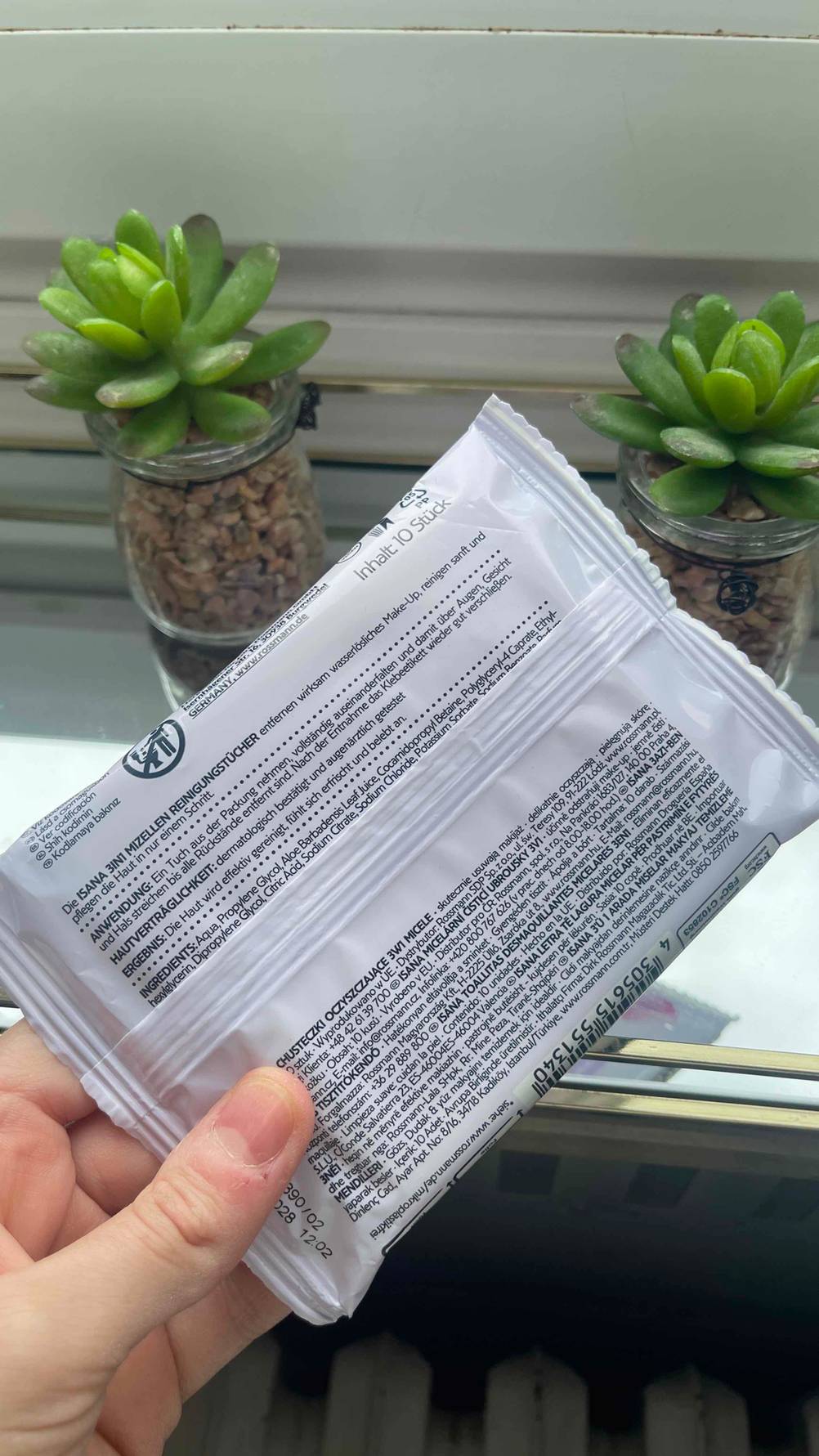 Die getesteten Abschminktücher im Spender-Kunststoffpack, mit Fokus auf die rückseitigen Produktangaben befinden sich in einer Hand vor zwei kleinen Topfpflanzen.