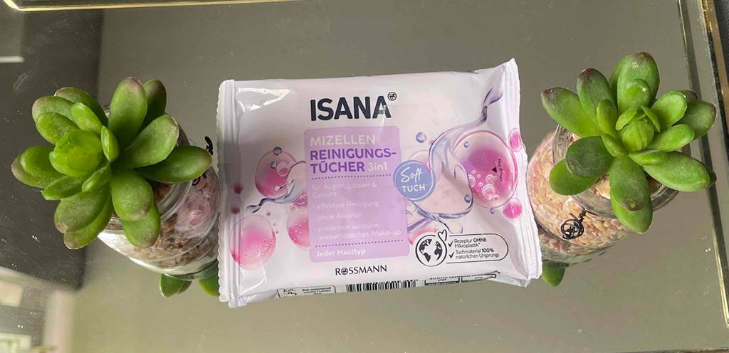 Im Test: Die Abschminktücher im Spender-Kunststoffpack liegen zwischen zwei kleinen Topfpflanzen.