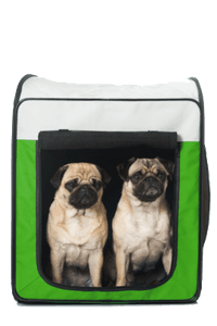 Hundebox-mit-fenster