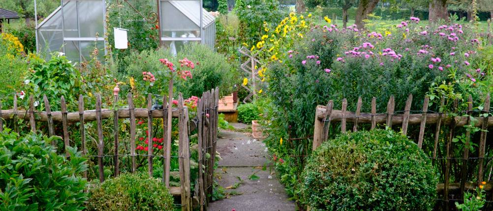 Staketenzaun im Test: Bauerngarten umgeben von Staketenzaun mit offenem Tor und Gewächshaus im Hintergrund.