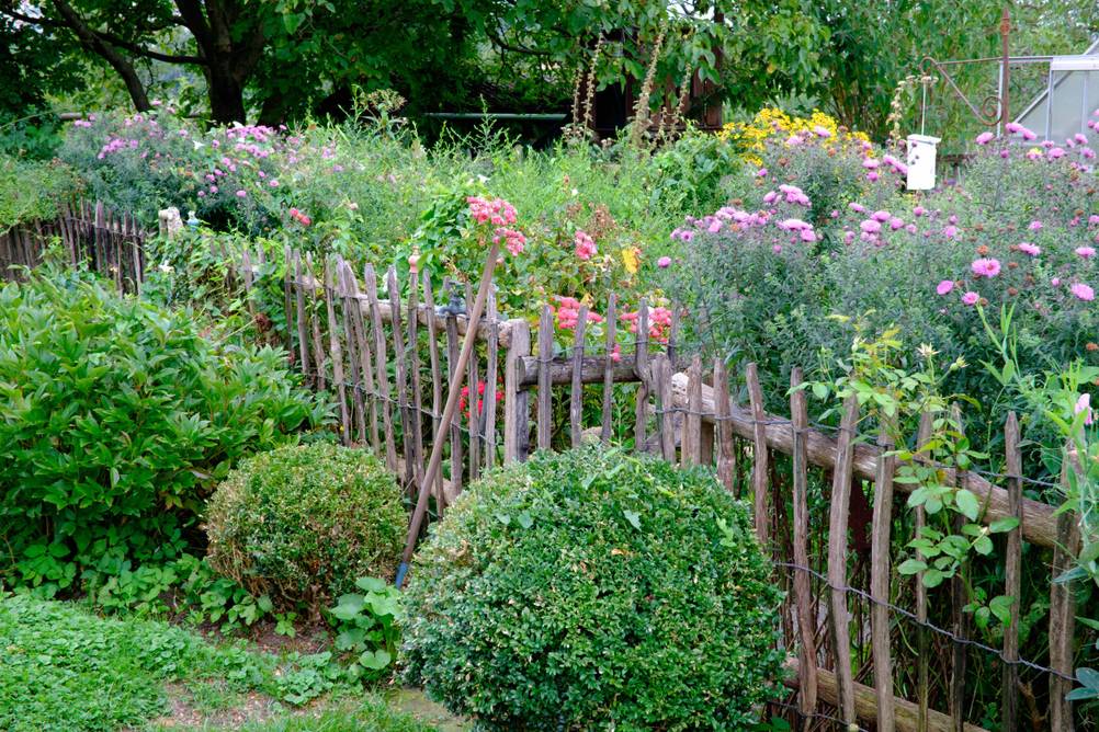 Staketenzaun im Test: Üppiger Bauerngarten umgeben von Staketenzaun mit offenem Tor.